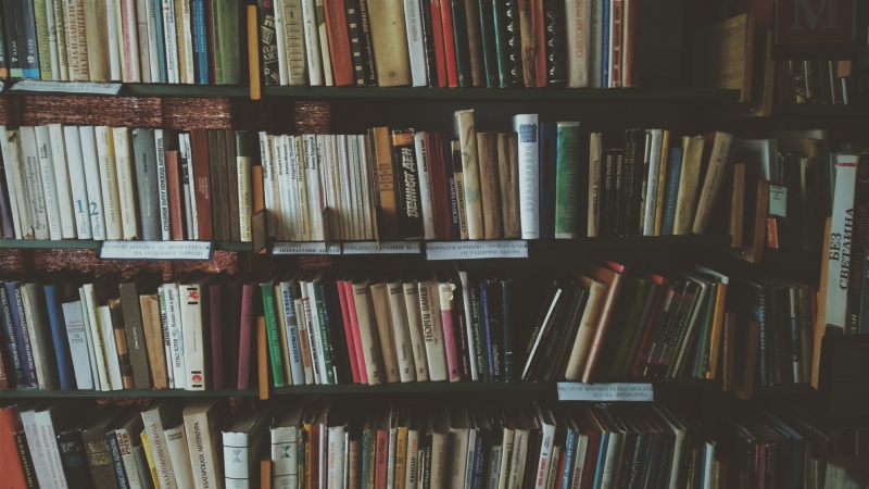 librairie-ST PAUL DE VENCE-min_bookcase-1869616 (1)